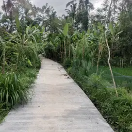 Land for lease in payangan front rice field back jungle access ready
