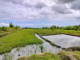 Jual tanah los pantai yehgangga 1 ha 10 are harga 700 jt/ are