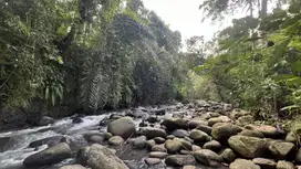 Jual tanah los sungai bebatuan view jungle dan sawah di tabanan