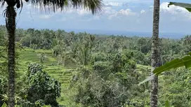 Di jual tanah dengan pemadangan sawah dan jungle di tabanan murah