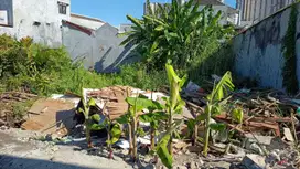 Tanah Karang Empat dekat Krampung, Kenjeran, Kedung Cowek (DVO)