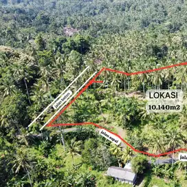 Di jual kebun sangat murah dengan zona perumahan di tabanan