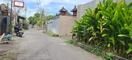 LANGKA!! TNH LUASAN KECIL 1 ARE SANUR