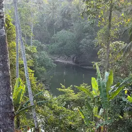 di jual tanah kebun view sungai dan jungle di tabanan