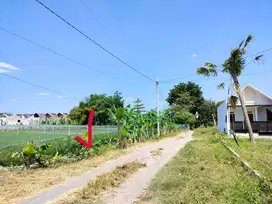 Tanah Pekarangan View Sawah Dekat Kampus Sadhar Sleman TP 038