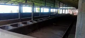 dijual perkebunan dan peternakan siap pakai