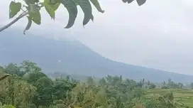 Di jual tanah view gunung , sawah dan sungai cocok untuk villa