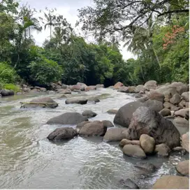 Di jual tanah langsung sungai dekat dengan wisata jatiluwih