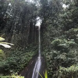 Tanah kebun view air terjun ,sawah dan jungle di tabanan