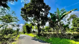Tanah 9362 m2 Pinggir Jalan Pemandangan Bagus Purwakarta Dijual Murah
