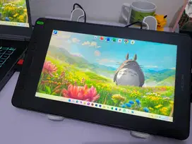 HUION Kamvas 12