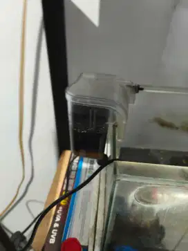Akuarium bekas dan perintilan