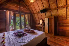 Dijual cepat Villa view laut dan gunung agung