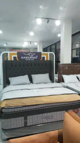 SPRINGBED KANGAROO