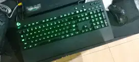 Logitech G213 Mulus
