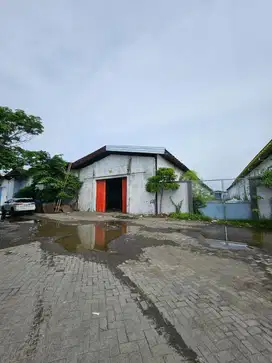 Nego Sampai Deal Disewakan Gudang Margomulyo Permai Surabaya