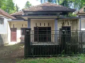 Dijual Rumah Rp 250 jt di Tabanan - Bali