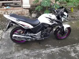 Tiger revo 2014 putih