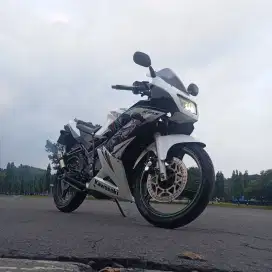 Ninja RR New SE murmer