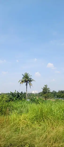 Lagi nyari lowongan driver SIM A