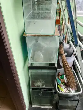 akuarium  bekas bagus