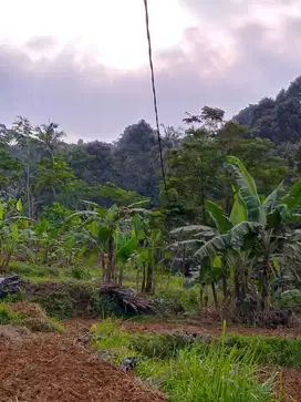 di jual tanah kebun di leuwisadeng bogor