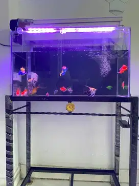 Aquarium set + Ikan