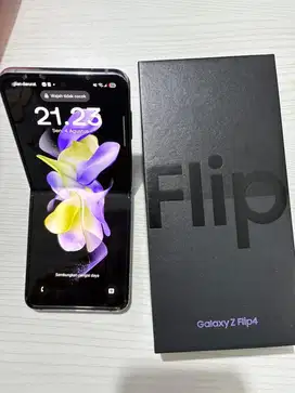 Flip 4 mulus ex cewe
