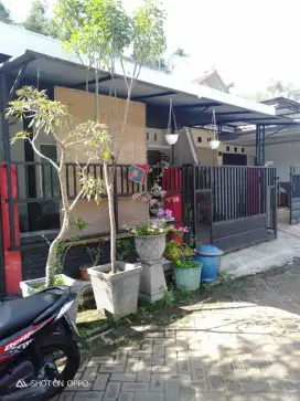 Disewakan rumah tahunan