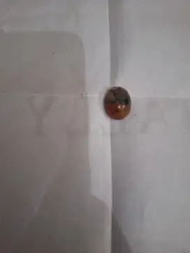 Batu akik api 
Bentuk alami oval 
Limited edition 
Barang terawat 
Pem
