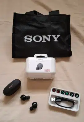 Sony WF-1000XM5