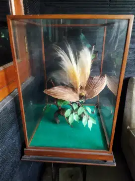 Barang antik (collector)