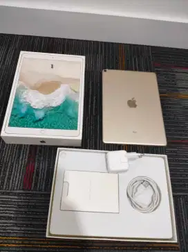 iPad Pro 2017 10.5inch 64GB WiFi Only Gold Fullset