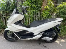 Pcx 2019 Surat Lengkap Pajak hidup Mesin nyaman bening