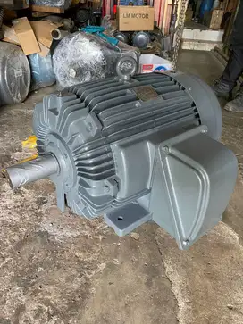 DINAMO TECO 50HP 37KW 4POLE RPM 1500 - ELEKTRO MOTOR PENGGERAK 3 PHASE