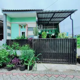 Rumah Murah Di Medokan Ayu Rungkut Surabaya Timur
