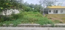 Dijual Tanah Kering Di Wonokoyo Menganti Gresik Dekat Pasar Menganti