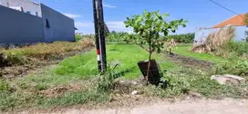 Dijual Tanah Kering Di Jalan Jeruk Wage Taman Sidoarjo