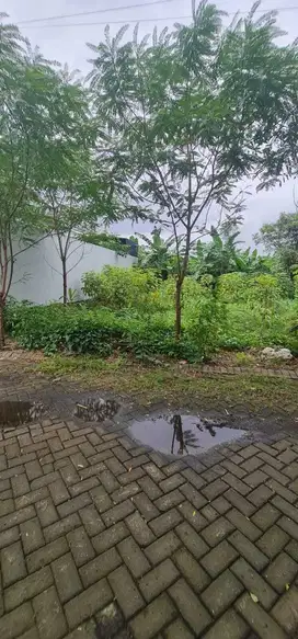 Dijual Tanah Di Cluster Perumahan Grand Royal Regency Wage Sidoarjo