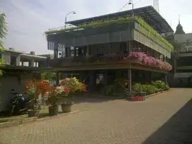Dijual Rumah Kos Aktif Di Lontar Surabaya Barat Dekat Pakuwon