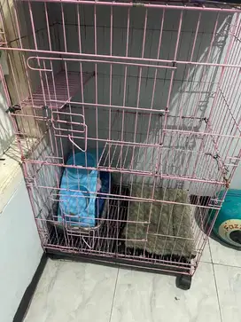 jual cepat kandang kucing tingkat