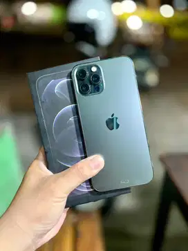 Iphone 12 promax 256gb resmi ibox