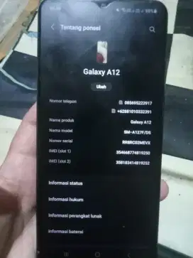 Samsung Galaxy A12