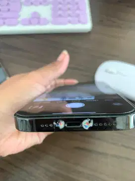 IPHONE 14 PRO EX INTER