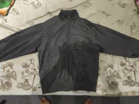 jaket bomber windbreake golden bear