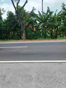 DIJUAL TANAH LOKASI PASURUAN