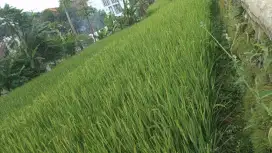 Dijual Tanah Luas & Strategis di Arjasari, Banjaran – Bandung