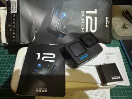 Gopro hero 12 black