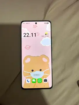 Oppo Reno 11 5g