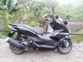 Honda PCX 2021 surat lengkap plat ab